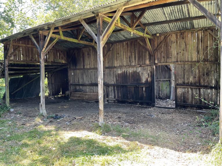 Débarras d’un hangar à Puyoo 64 par débarras du 40 à Pomarez.