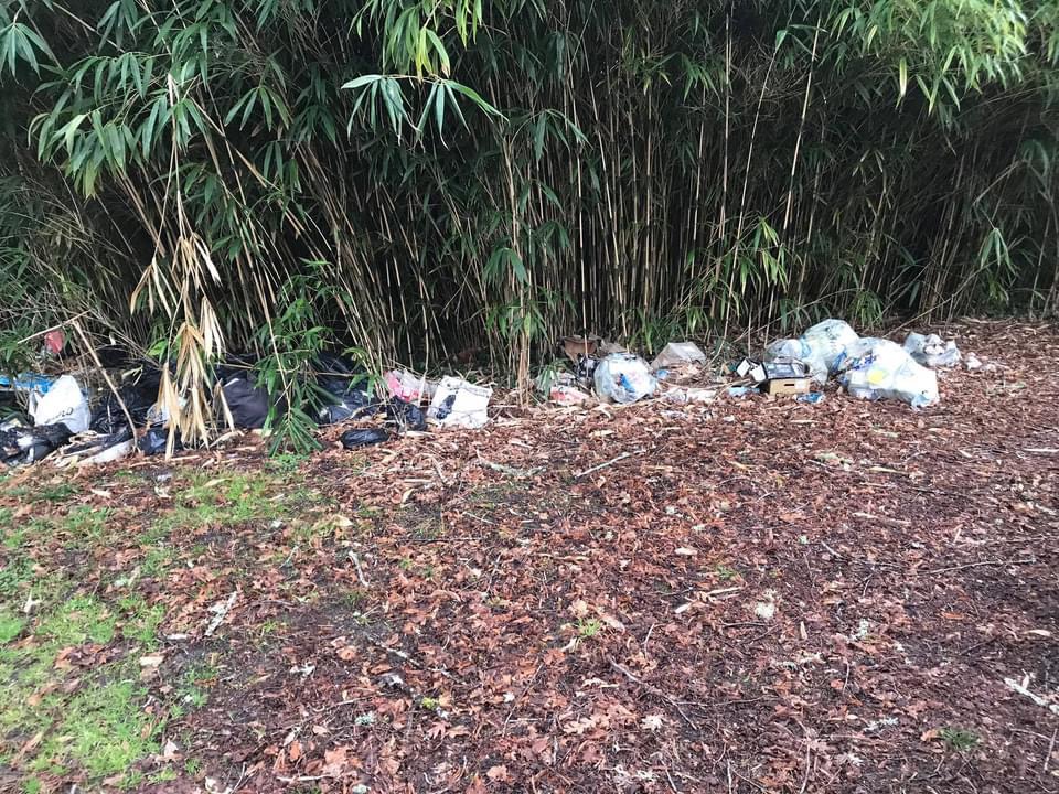 Débarras d’ordures ménagères dans une bambouseraie à Mées 40
